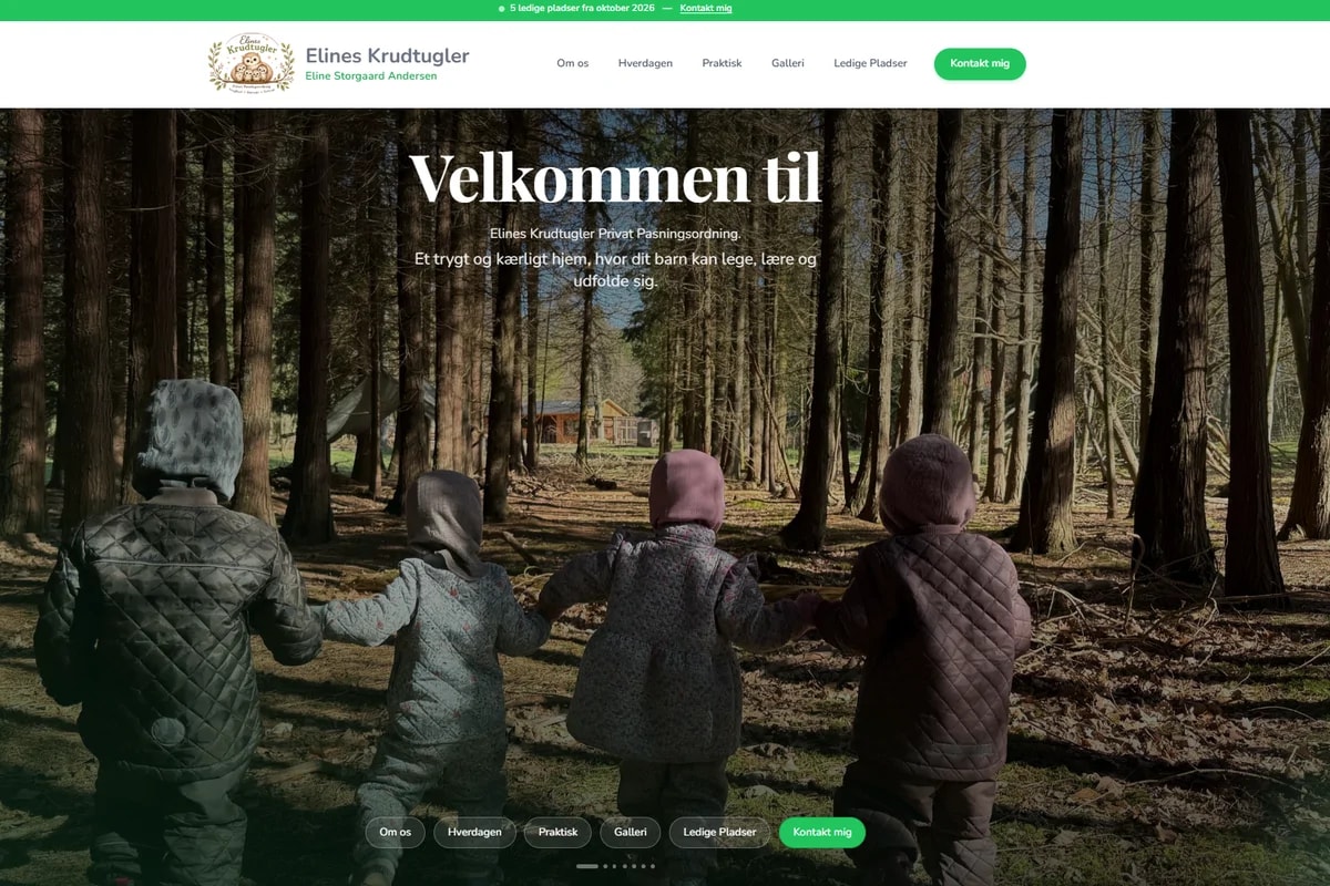 Hjemmeside med CMS (Content management system)