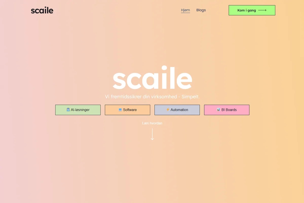 Scaile - Software & Automation